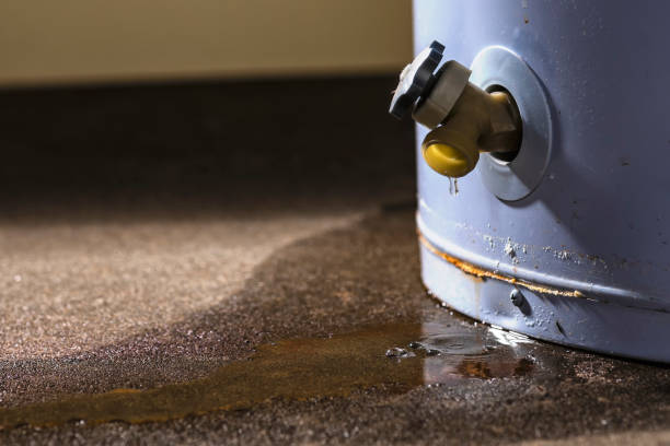 Best Sewage cleanup and water damage restoration  in Ocean Springs, MS