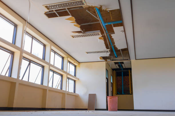 Best Water damage restoration insurance claims  in Ocean Springs, MS