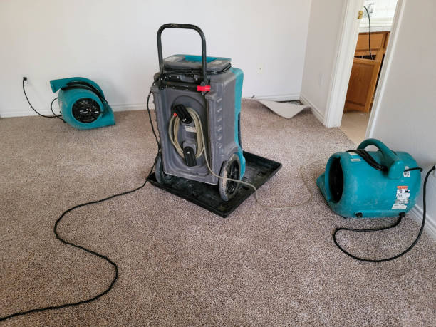 Best Fire Damage Restoration  in Ocean Springs, MS
