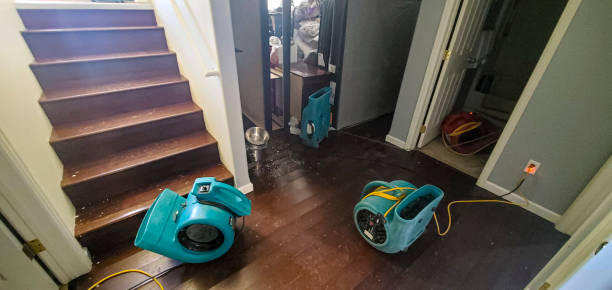 Best Flood damage cleanup  in Ocean Springs, MS