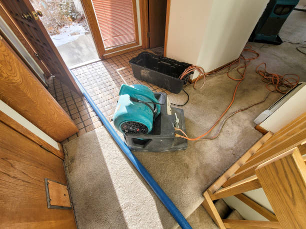 Best Emergency water damage restoration  in Ocean Springs, MS