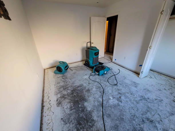 Best Sewage cleanup and water damage restoration  in Ocean Springs, MS