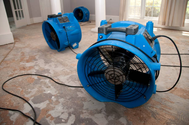 Best Commercial water damage restoration  in Ocean Springs, MS