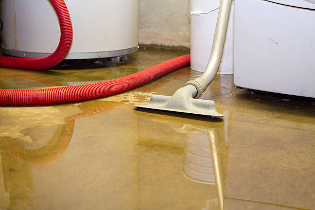 Best Emergency water damage restoration  in Ocean Springs, MS