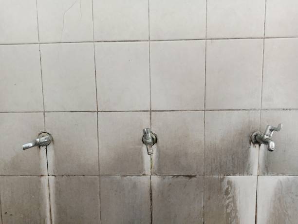 Best Water damage restoration services  in Ocean Springs, MS