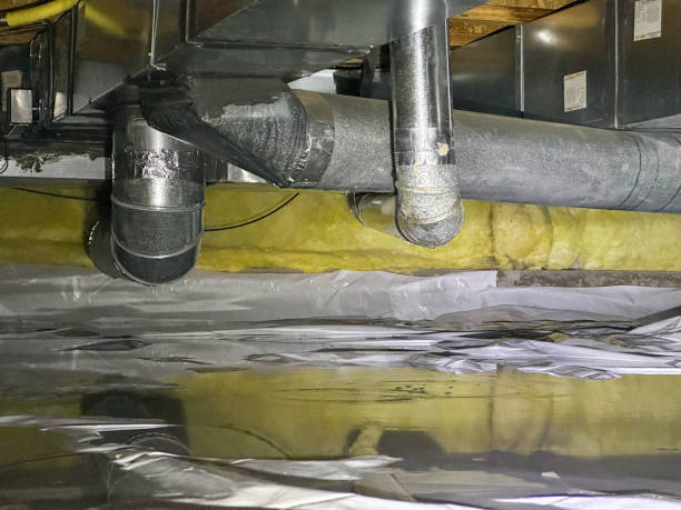 Best Water damage contractors near me  in Ocean Springs, MS