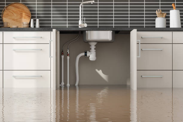 Best Carpet water damage restoration  in Ocean Springs, MS