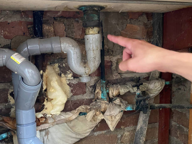 Best Basement water damage restoration  in Ocean Springs, MS