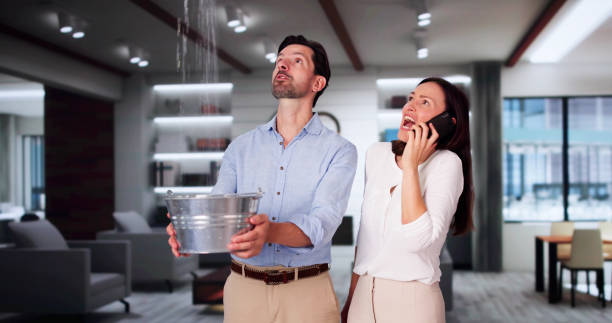 Best Water damage cleanup near me  in Ocean Springs, MS