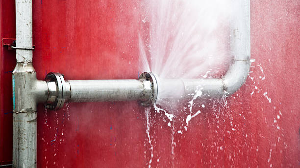 Best Professional water damage repair  in Ocean Springs, MS